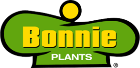Bonnie Plants Relaunches 3rd Grade Cabbage Program to Inspire Kids to Get Outside and Grow a Love of Gardening