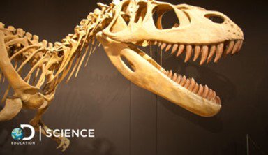 Minnesota’s Bloomington Public Schools Set to Open School Year with New Digital Resources Supporting Science Education from Discovery Education  
