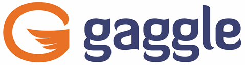 Gaggle’s New Investing in Student Safety Report Helps District Leaders Identify the Return on Safety Investments