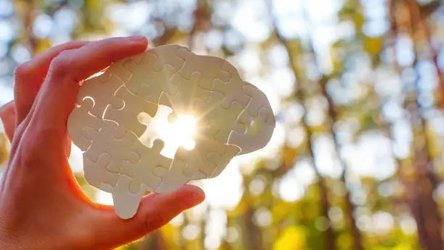 Why Most Students Now Need Tier 2 Support—and Why Comprehensive Integrated Cognitive Training Is the Core