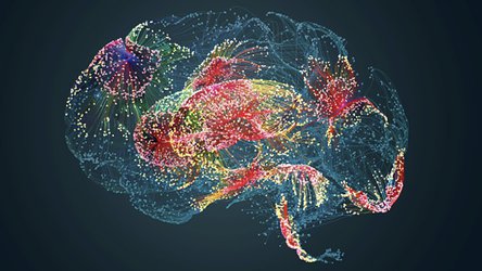 Challenges and Solutions: Tackling the Mental Health Crisis with Technology