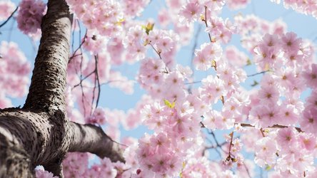 Spring Forward to Better Learning Opportunities